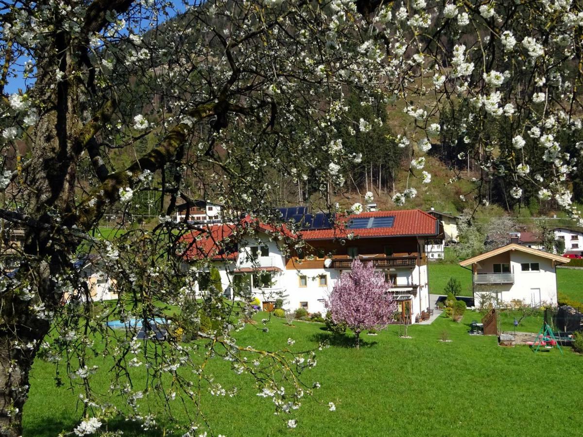 Landhaus Mayr Wiesing Ngoại thất bức ảnh